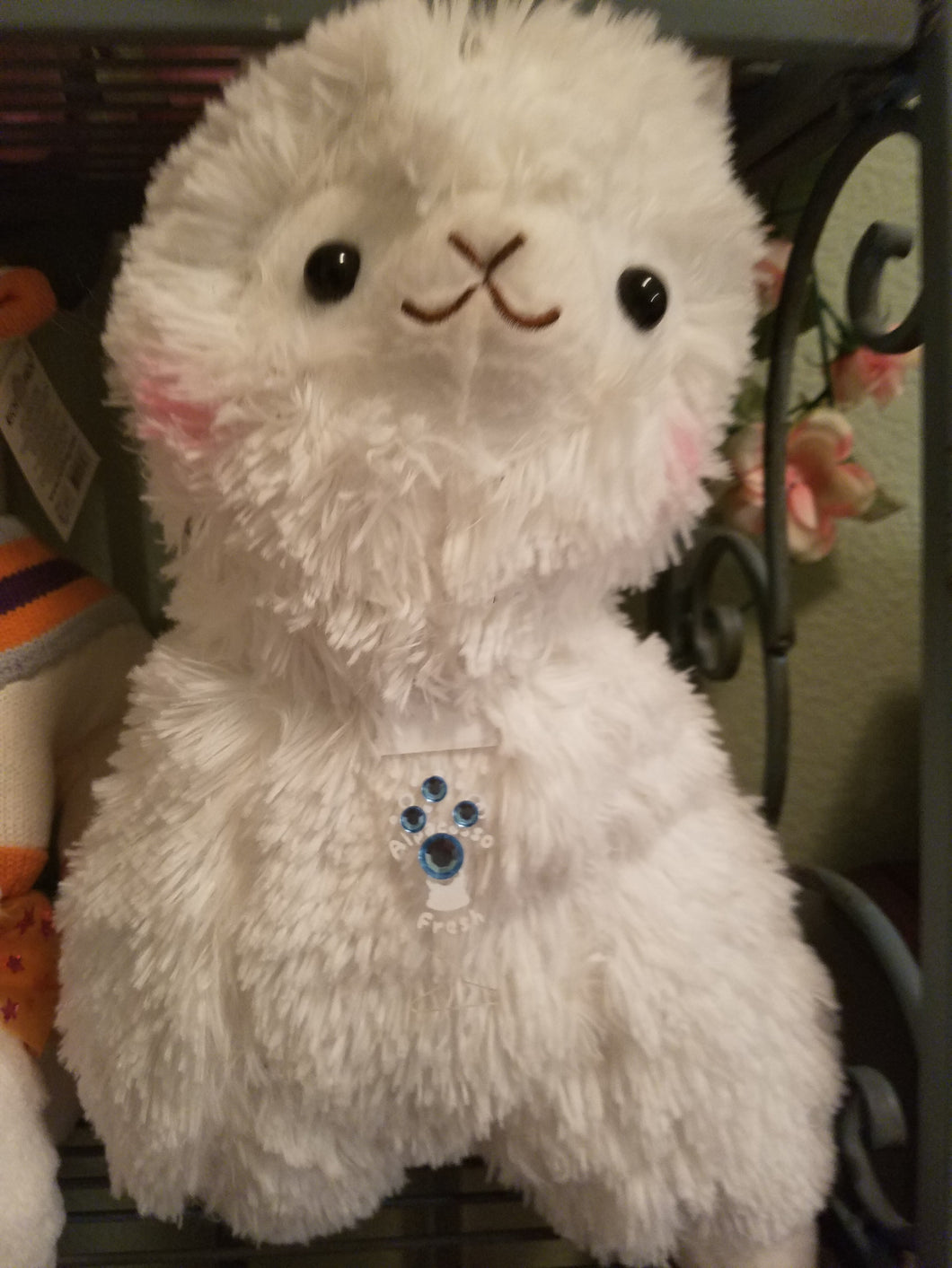 Alpaca Large with Blushed Cheeks