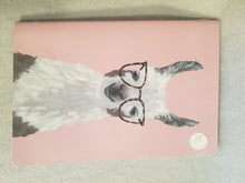 Unique Alpaca and Llama Notebooks